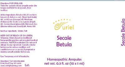 Secale Betula Ampules